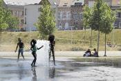 lobroekdok 07-2010 6577